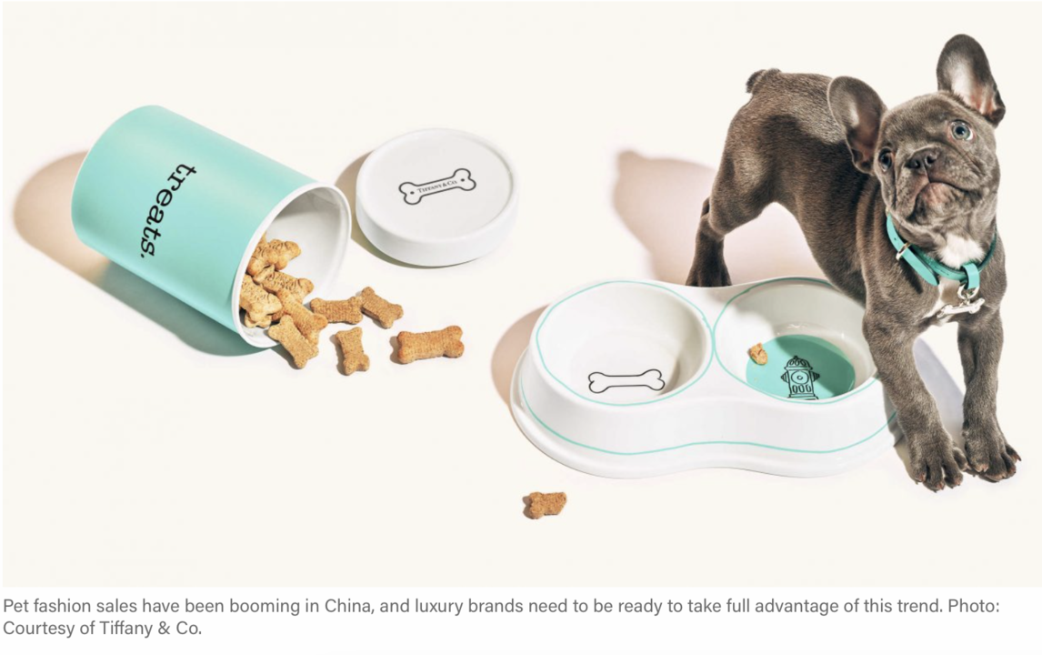 ¿Quién es la modelo que aparece en el anuncio de la lujosa marca de mascotas Tiffany & Co.?