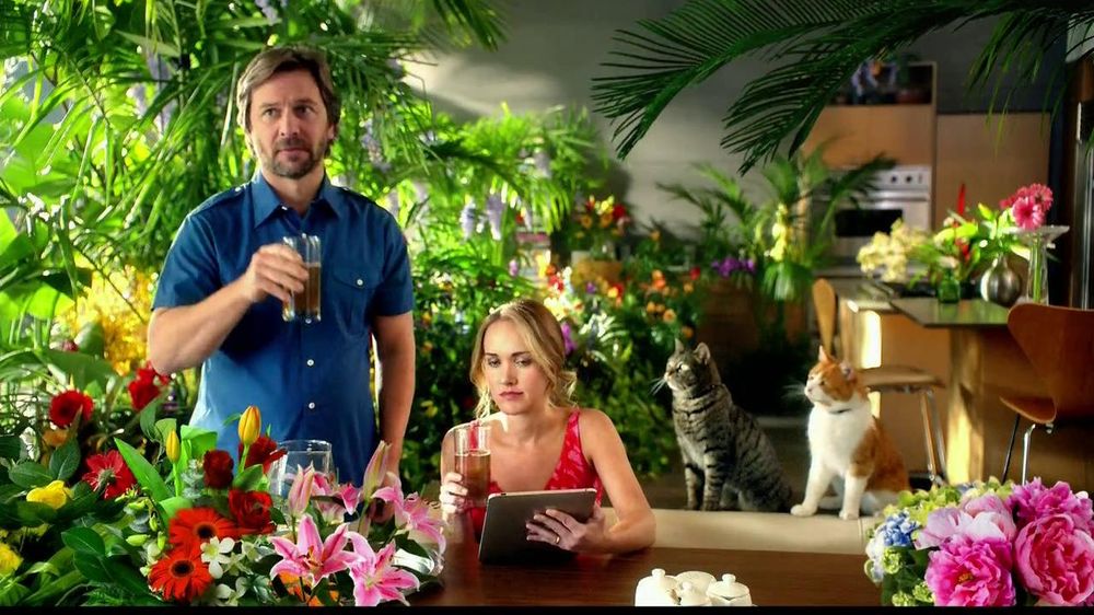 ¿Qué canción suena en el anuncio "Pure Nature" de Tidy Cats 2026?